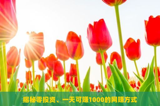 揭秘零投资、一天可赚1000的网赚方式