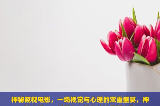 神秘窥视电影，一场视觉与心理的双重盛宴，神秘窥视，一部引人入胜的惊悚悬疑电影