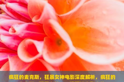 疯狂的麦克斯，狂暴女神电影深度解析，疯狂的麦克斯，狂暴女神，一场硬核电影之旅