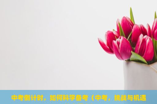 中考倒计时，如何科学备考（中考，挑战与机遇的交汇点）