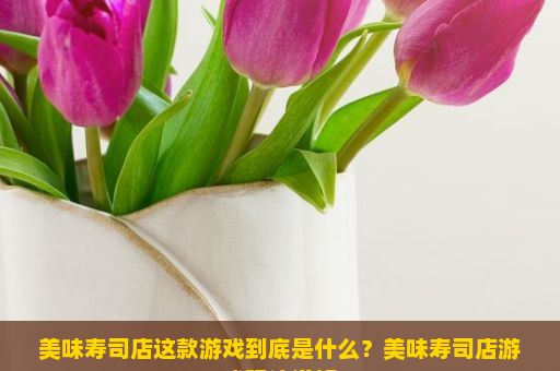 美味寿司店这款游戏到底是什么？美味寿司店游戏玩法详解