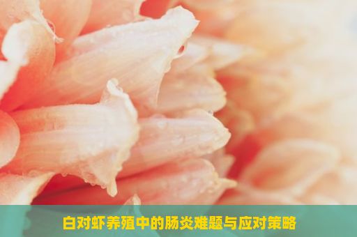 白对虾养殖中的肠炎难题与应对策略