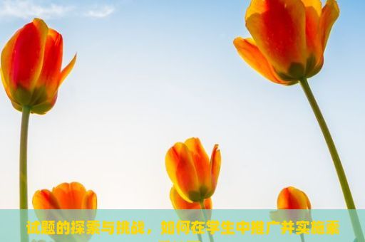 试题的探索与挑战，如何在学生中推广并实施素质教育？