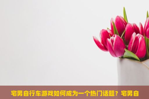 宅男自行车游戏如何成为一个热门话题？宅男自行车游戏玩法详解