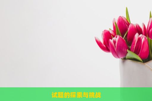 试题的探索与挑战