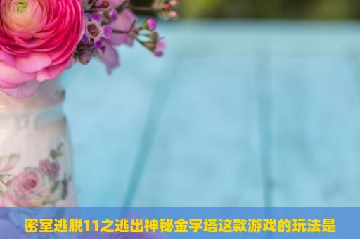 密室逃脱11之逃出神秘金字塔这款游戏的玩法是什么？需要遵循哪些步骤才能成功逃离？密室逃脱11之逃出神秘金字塔游戏玩法详解