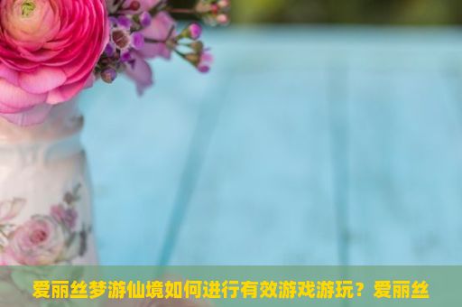 爱丽丝梦游仙境如何进行有效游戏游玩？爱丽丝的梦想游戏玩法详解