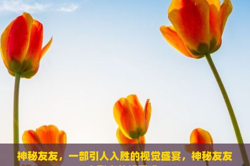 神秘友友，一部引人入胜的视觉盛宴，神秘友友电影真的好看吗？