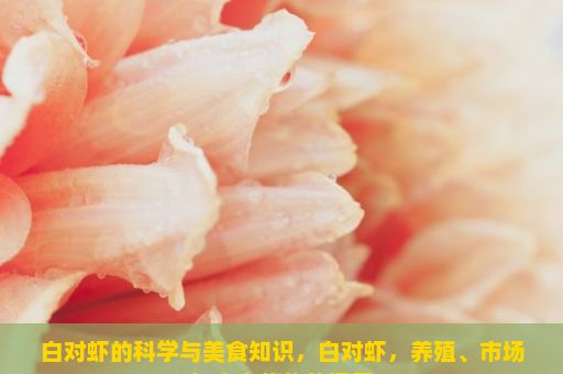 白对虾的科学与美食知识，白对虾，养殖、市场与未来趋势的探索