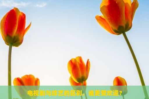 电视剧与综艺的区别，谁更受欢迎？