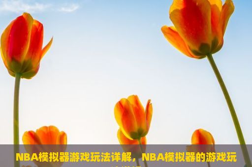 NBA模拟器游戏玩法详解，NBA模拟器的游戏玩法详解