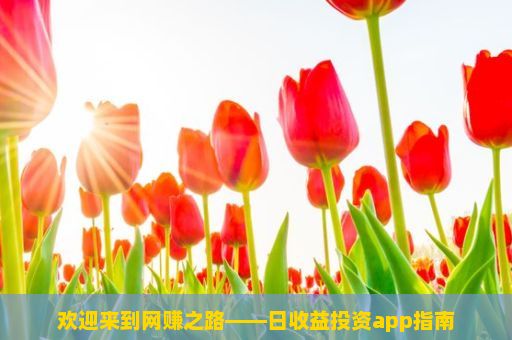 欢迎来到网赚之路——日收益投资app指南