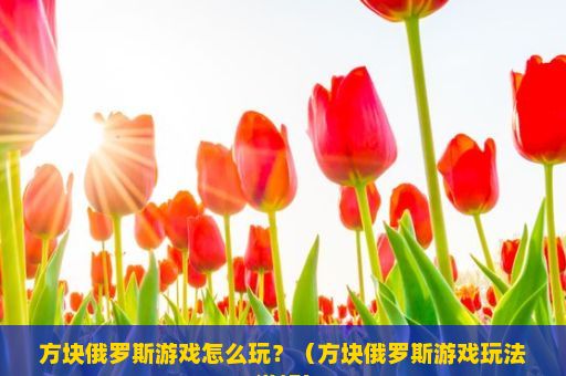 方块俄罗斯游戏怎么玩？（方块俄罗斯游戏玩法详解）