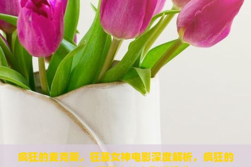 疯狂的麦克斯，狂暴女神电影深度解析，疯狂的麦克斯，狂暴女神电影好看吗？