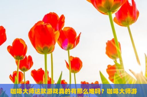 咖啡大师这款游戏真的有那么难吗？咖啡大师游戏玩法详解