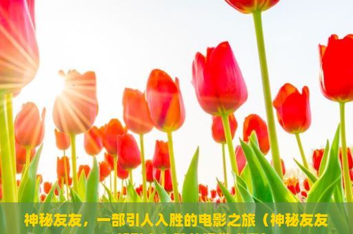 神秘友友，一部引人入胜的电影之旅（神秘友友，一部引人入胜的视觉盛宴）