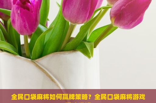 全民口袋麻将如何赢牌策略？全民口袋麻将游戏玩法详解