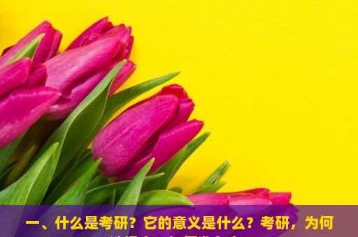 一、什么是考研？它的意义是什么？考研，为何选择它，如何准备它？