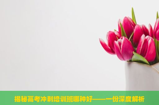 揭秘高考冲刺培训班哪种好——一份深度解析