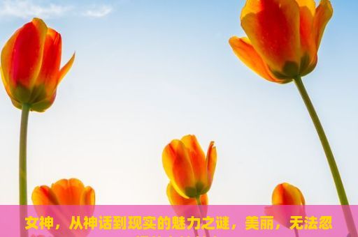 女神，从神话到现实的魅力之谜，美丽，无法忽视的女神魅力