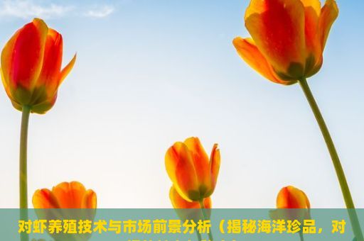 对虾养殖技术与市场前景分析（揭秘海洋珍品，对虾的魅力与秘密）