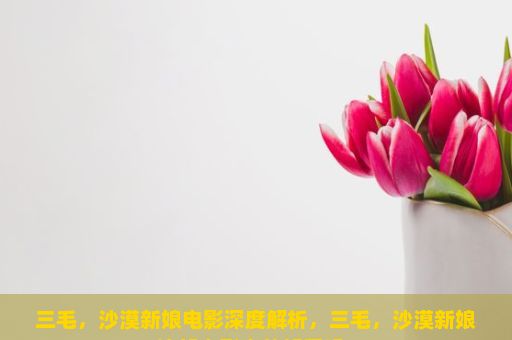 三毛，沙漠新娘电影深度解析，三毛，沙漠新娘这部电影真的好看吗？