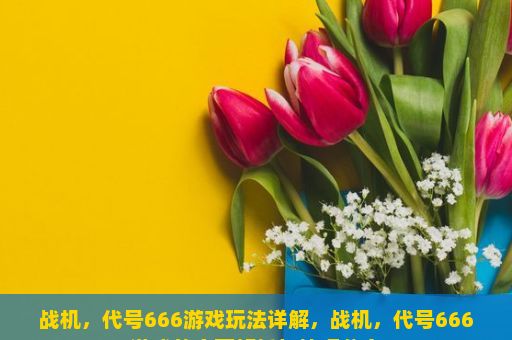 战机，代号666游戏玩法详解，战机，代号666游戏的全面解析与技巧分享