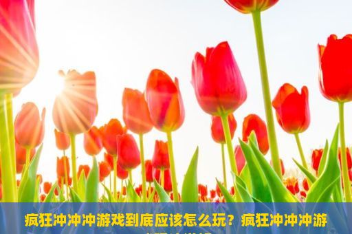 疯狂冲冲冲游戏到底应该怎么玩？疯狂冲冲冲游戏玩法详解