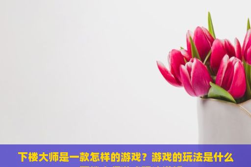 下楼大师是一款怎样的游戏？游戏的玩法是什么？下楼大师游戏玩法详解