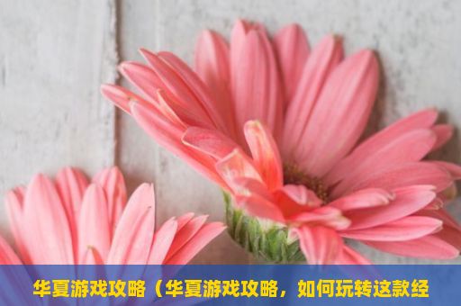 华夏游戏攻略（华夏游戏攻略，如何玩转这款经典之作？）