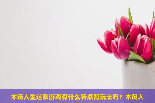 木筏人生这款游戏有什么特点和玩法吗？木筏人生游戏玩法详解