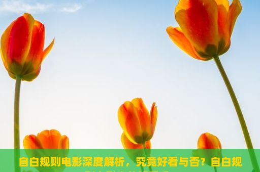 自白规则电影深度解析，究竟好看与否？自白规则电影真的好看吗？