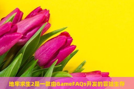 地牢求生2是一款由GameFAQs开发的冒险生存类手机游戏，游戏画面清新简约，拥有丰富的剧情和角色设定。玩家在游戏中扮演一名探险家，在未知的地牢中寻找宝藏并击败强大的怪物。游戏玩法多种多样，包括了攀爬、战斗、挖掘、解谜等元素。，地牢求生2游戏玩法详解