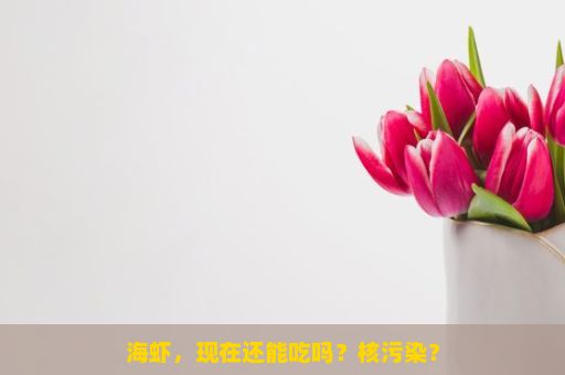 海虾，现在还能吃吗？核污染？