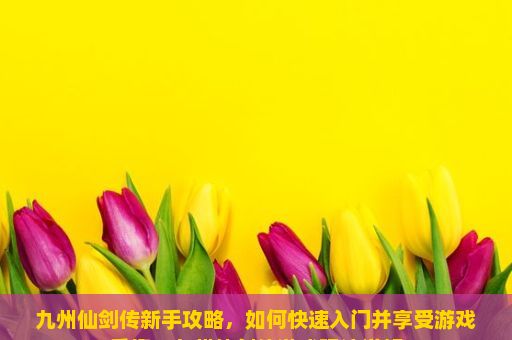 九州仙剑传新手攻略，如何快速入门并享受游戏乐趣，九州仙剑传游戏玩法详解