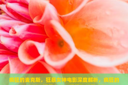 疯狂的麦克斯，狂暴女神电影深度解析，疯狂的麦克斯，狂暴女神，视觉与听觉盛宴