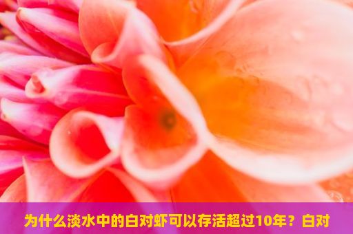 为什么淡水中的白对虾可以存活超过10年？白对虾，养殖、市场与未来趋势的探索