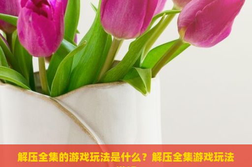 解压全集的游戏玩法是什么？解压全集游戏玩法详解