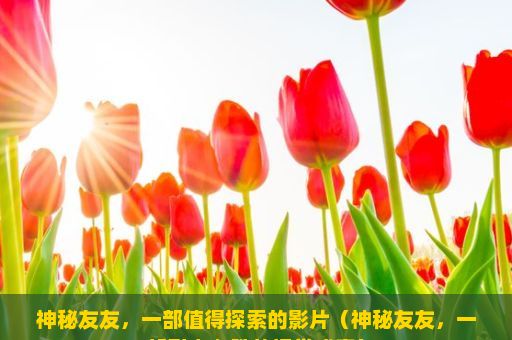 神秘友友，一部值得探索的影片（神秘友友，一部引人入胜的视觉盛宴）