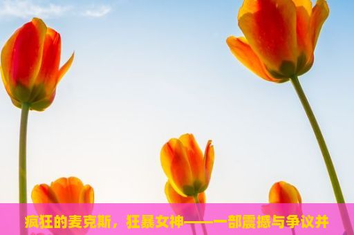 疯狂的麦克斯，狂暴女神——一部震撼与争议并存的影片（疯狂的麦克斯，狂暴女神电影深度解析）