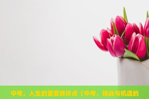 中考，人生的重要转折点（中考，挑战与机遇的交汇）