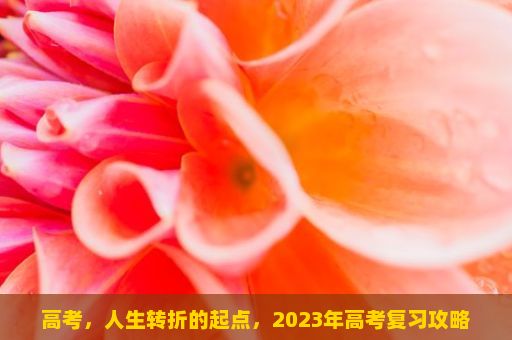 高考，人生转折的起点，2023年高考复习攻略