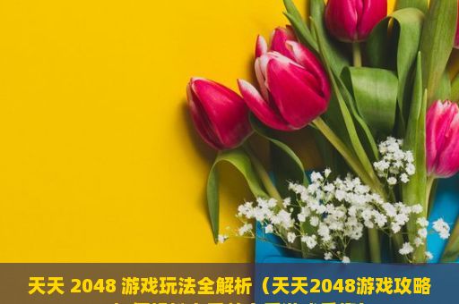 天天 2048 游戏玩法全解析（天天2048游戏攻略，如何轻松上手并享受游戏乐趣）