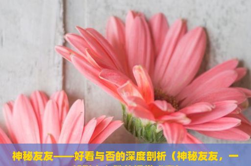 神秘友友——好看与否的深度剖析（神秘友友，一部引人入胜的视觉盛宴）