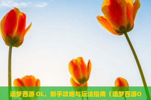 造梦西游 OL，新手攻略与玩法指南（造梦西游OL游戏攻略，如何轻松上手？）