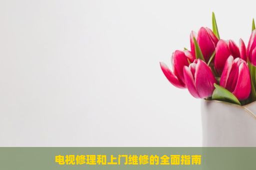 电视修理和上门维修的全面指南