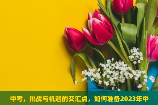 中考，挑战与机遇的交汇点，如何准备2023年中考？