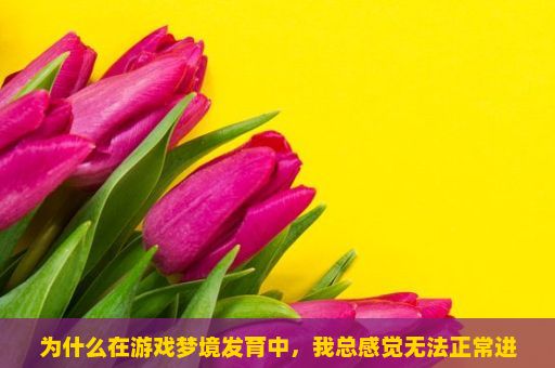 为什么在游戏梦境发育中，我总感觉无法正常进展？梦境发育游戏攻略，如何玩转这款梦幻冒险之旅？