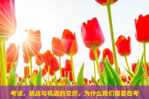 考试，挑战与机遇的交织，为什么我们需要在考试中取得好成绩？