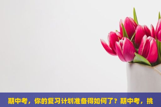 期中考，你的复习计划准备得如何了？期中考，挑战与机遇的交织